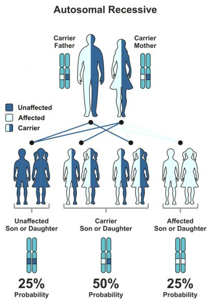 Genetics of PFIC - Genetics with Background - PFIC Network